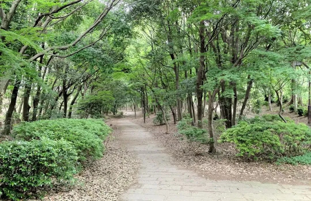 🌳 문고의 숲(분코노모리) 이미지 5